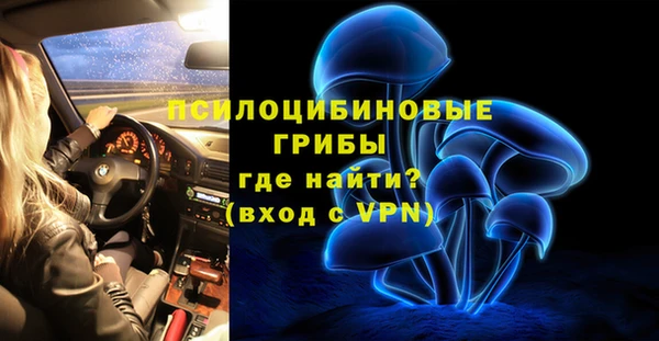 твердый Семилуки