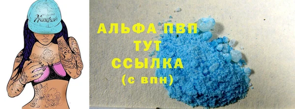 стафф Вязьма