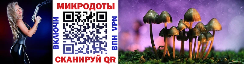 купить  сайты  Тюмень  Псилоцибиновые грибы Cubensis 